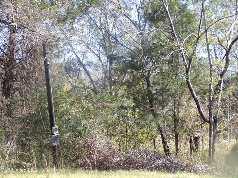 2111 Pleasant Ridge Rd, Chunky, MS 39323 photo 14