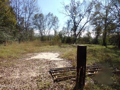 2111 Pleasant Ridge Rd, Chunky, MS 39323 photo 7