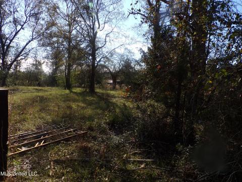 2111 Pleasant Ridge Rd, Chunky, MS 39323 photo 8