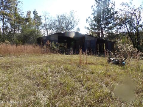 2111 Pleasant Ridge Rd, Chunky, MS 39323 photo 11
