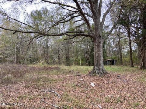 2111 Pleasant Ridge Rd, Chunky, MS 39323 photo 17