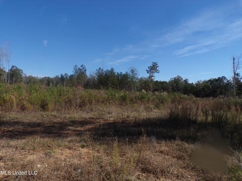 2111 Pleasant Ridge Rd, Chunky, MS 39323 photo 4