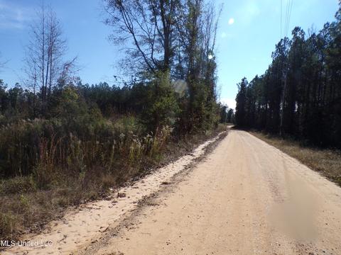 2111 Pleasant Ridge Rd, Chunky, MS 39323 photo 3