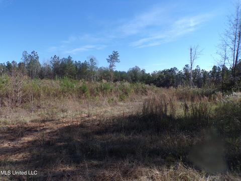 2111 Pleasant Ridge Rd, Chunky, MS 39323 photo 6