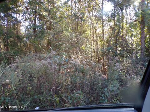 2111 Pleasant Ridge Rd, Chunky, MS 39323 photo 15