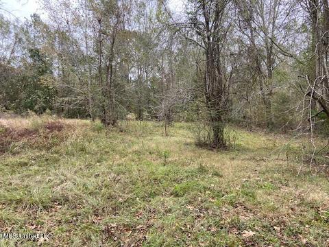 2111 Pleasant Ridge Rd, Chunky, MS 39323 photo 16