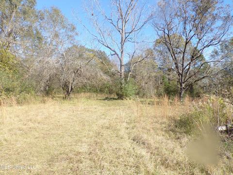 2111 Pleasant Ridge Rd, Chunky, MS 39323 photo 13