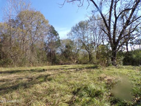 2111 Pleasant Ridge Rd, Chunky, MS 39323 photo 1