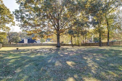 7590 Broken Hickory Dr, Walls, MS 38680 photo 35