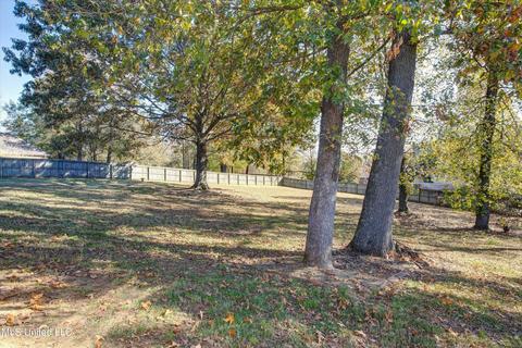 7590 Broken Hickory Dr, Walls, MS 38680 photo 34