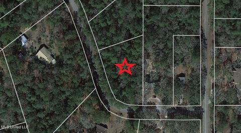 Long Leaf Drive, Vancleave, MS 39565 photo 3