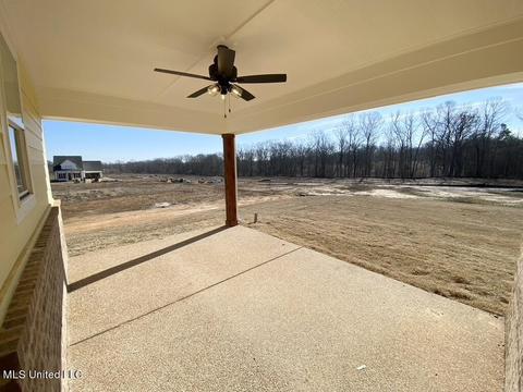 2483 St Ives Ln, Hernando, MS 38632 photo 17