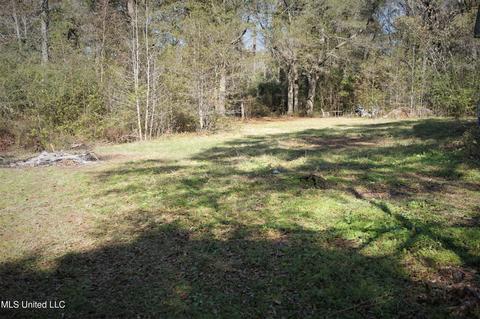 218 Salem Rd, Forest, MS 39074 photo 42