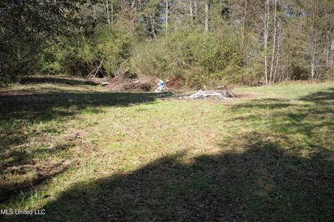 218 Salem Rd, Forest, MS 39074 photo 41