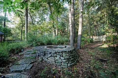 192 Dogwood Pl, Flowood, MS 39232 photo 66