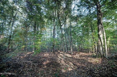 192 Dogwood Pl, Flowood, MS 39232 photo 65