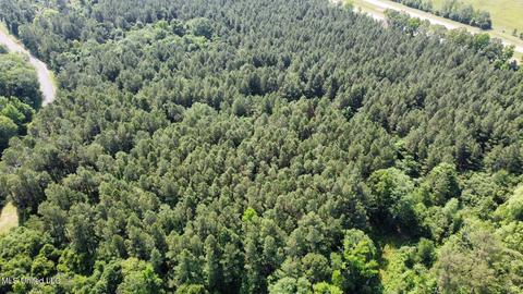 Rose Road, Hickory, MS 39332 photo 32