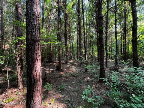 Rose Road, Hickory, MS 39332 photo 21