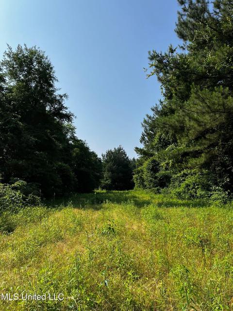 Rose Road, Hickory, MS 39332 photo 20