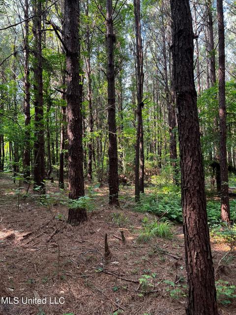 Rose Road, Hickory, MS 39332 photo 11