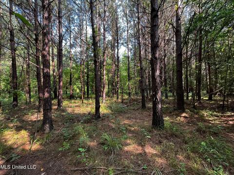 Rose Road, Hickory, MS 39332 photo 24