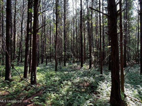 Rose Road, Hickory, MS 39332 photo 35