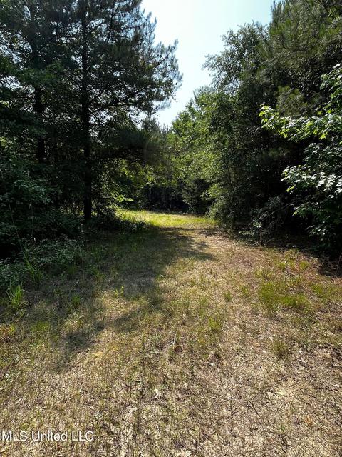Rose Road, Hickory, MS 39332 photo 9