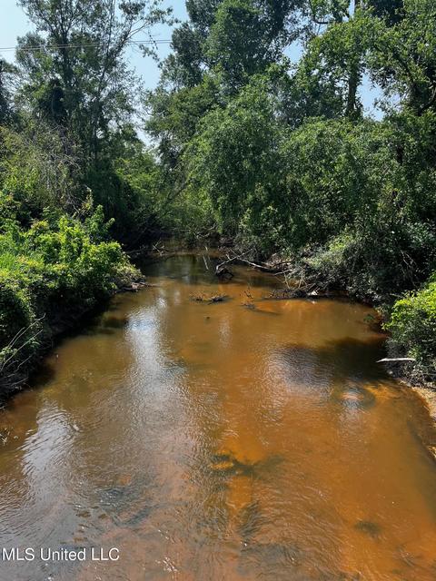 Rose Road, Hickory, MS 39332 photo 5