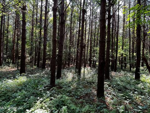 Rose Road, Hickory, MS 39332 photo 17