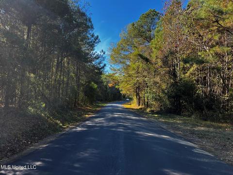 Rose Road, Hickory, MS 39332 photo 4
