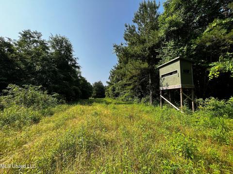 Rose Road, Hickory, MS 39332 photo 6