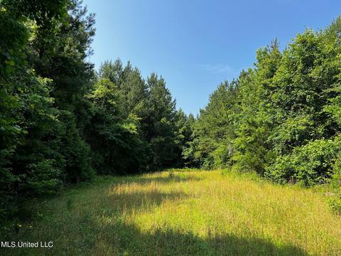 Rose Road, Hickory, MS 39332 photo 3