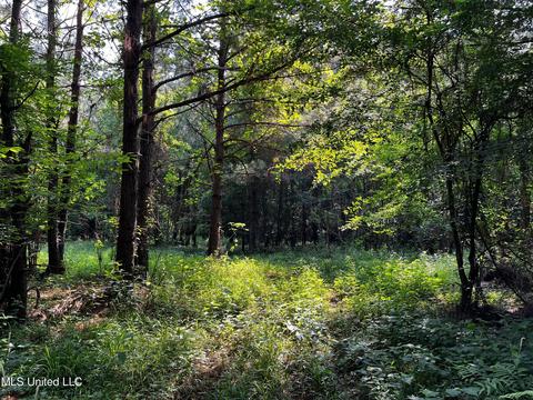 Rose Road, Hickory, MS 39332 photo 26