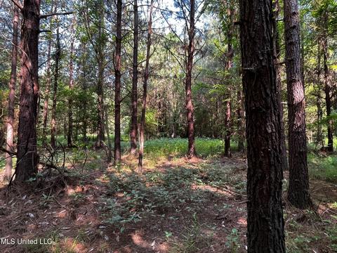 Rose Road, Hickory, MS 39332 photo 23