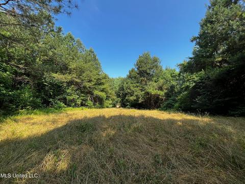 Rose Road, Hickory, MS 39332 photo 29
