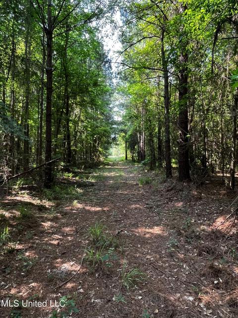 Rose Road, Hickory, MS 39332 photo 12