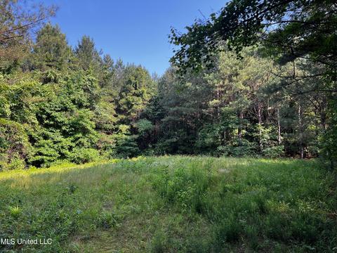 Rose Road, Hickory, MS 39332 photo 14