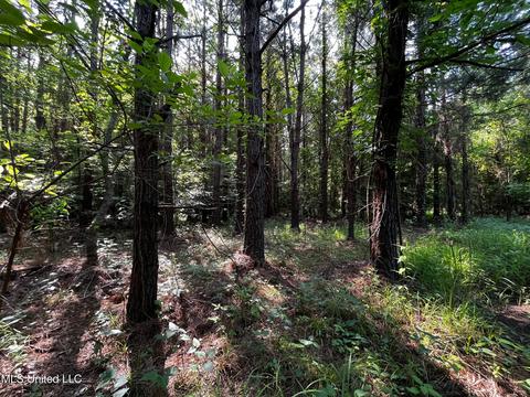 Rose Road, Hickory, MS 39332 photo 27