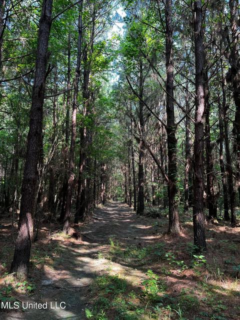 Rose Road, Hickory, MS 39332 photo 38