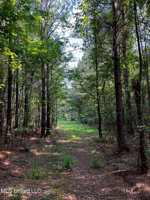Rose Road, Hickory, MS 39332 photo 13