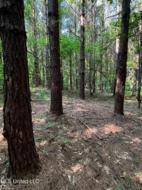 Rose Road, Hickory, MS 39332 photo 30