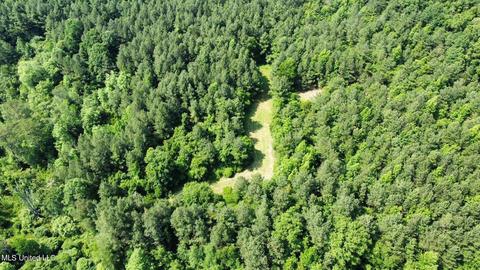 Rose Road, Hickory, MS 39332 photo 7