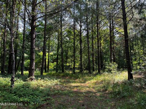 Rose Road, Hickory, MS 39332 photo 31