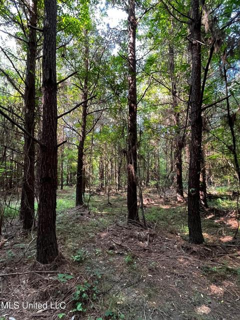 Rose Road, Hickory, MS 39332 photo 8