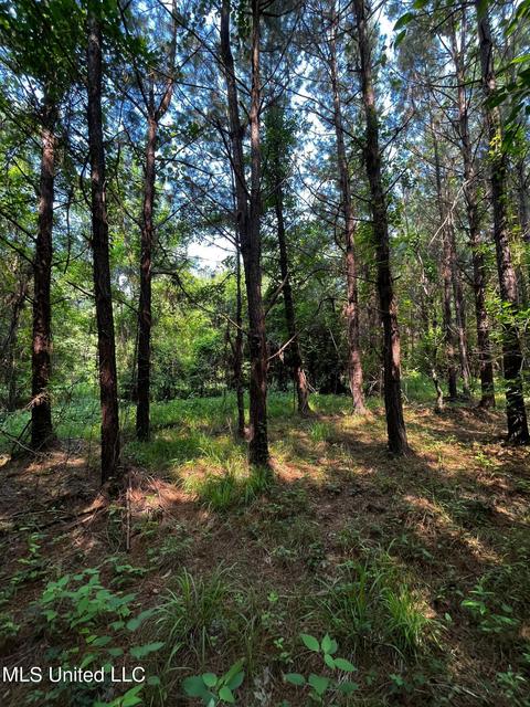 Rose Road, Hickory, MS 39332 photo 34