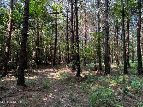 Rose Road, Hickory, MS 39332 photo 19