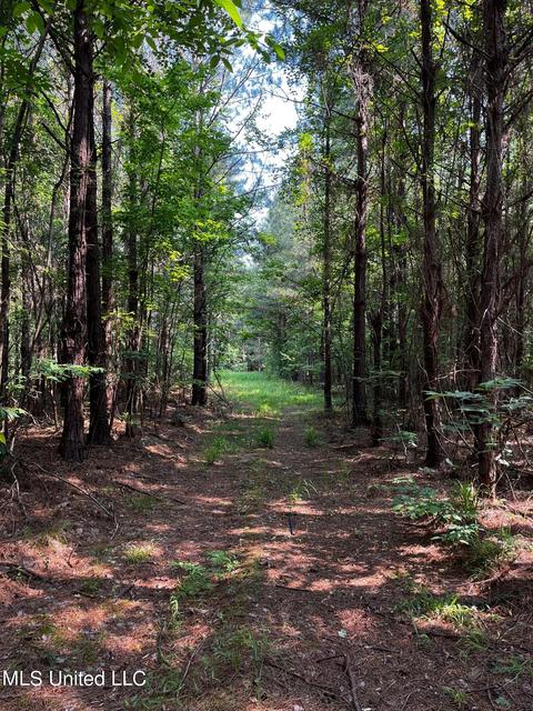 Rose Road, Hickory, MS 39332 photo 25