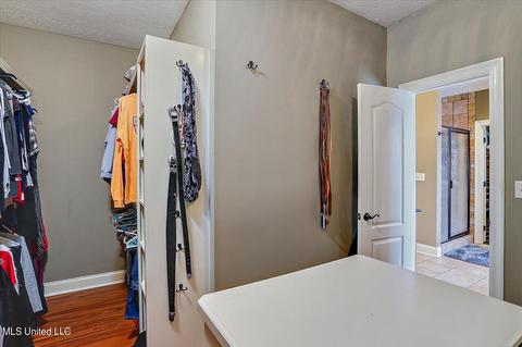 262 Cornerstone Dr, Brandon, MS 39042 photo 20