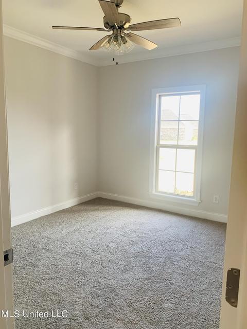 820 Glenwild Cir, Canton, MS 39046 photo 27