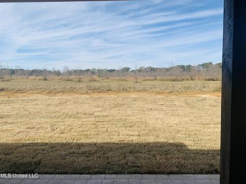 820 Glenwild Cir, Canton, MS 39046 photo 29